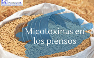 Micotoxinas en los piensos
