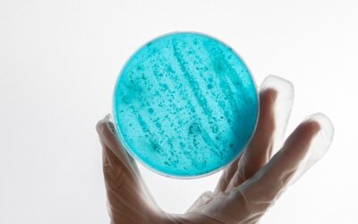 La importancia de la calidad microbiológica en las materias primas: Un análisis profundo desde Ainprot